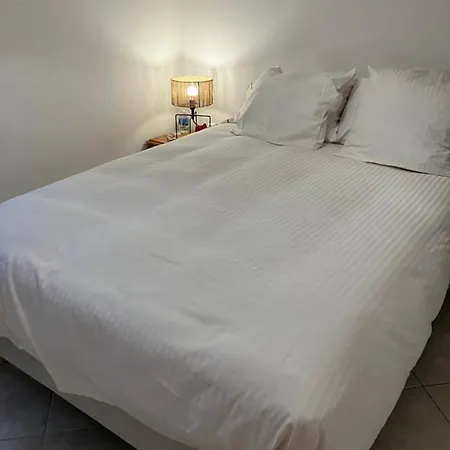 2 Pieces Vue Mer Avec Jardin Piscine Apartment Nice